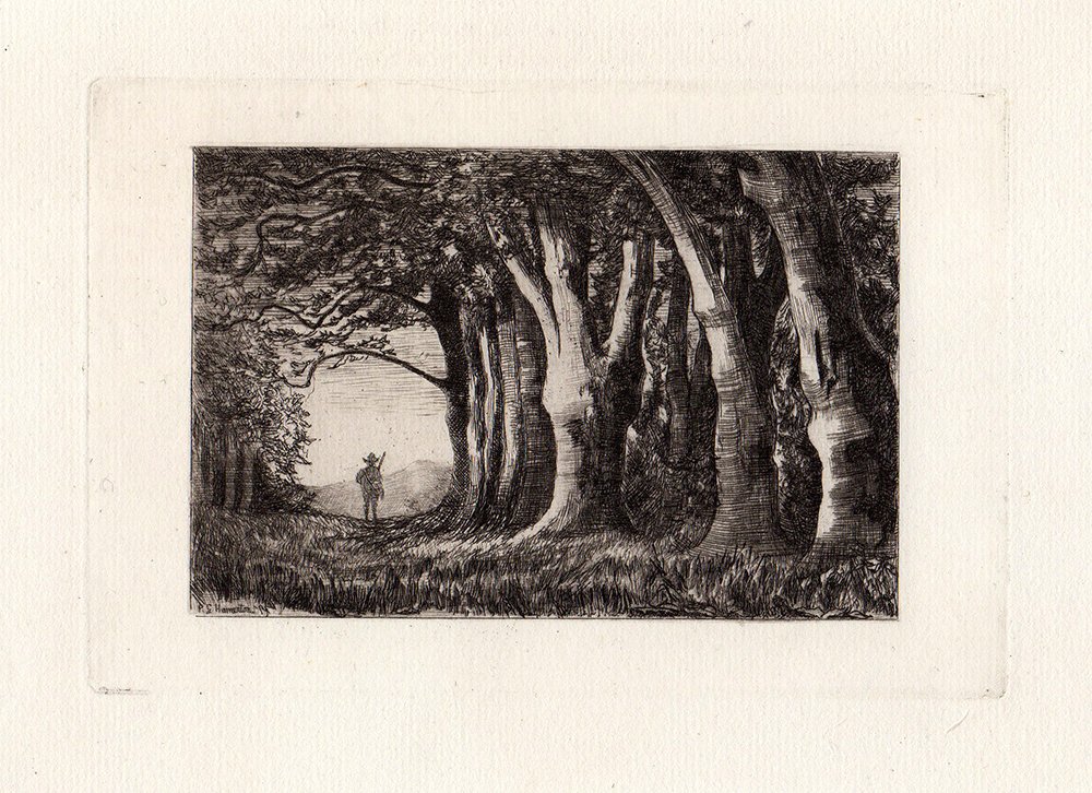 Hamerton etching Beeches Original 1800s: Antique etching on thick laid paper by P.G. Hamerton "Beeches" . This is not a modern reprint but was hand pulled from the copper plate in the 1870's. The strike is crisp and the lines are sharp. (Ima