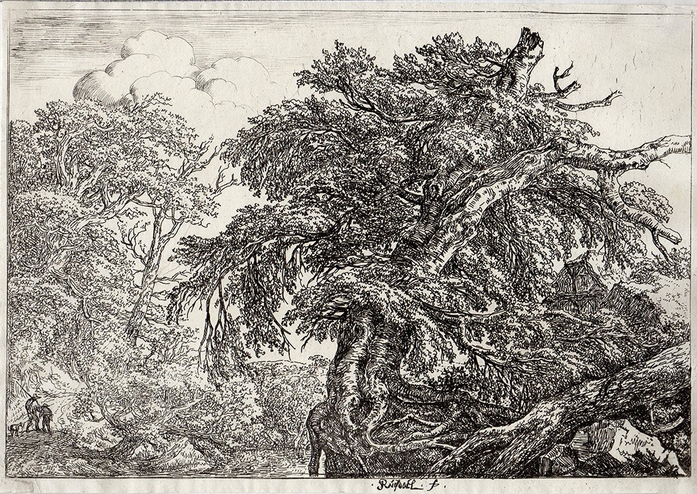 Jacob Ruisdael Original The Great Beech etching: RUISDAEL Jacob Isaaksz van, ca 1628/29-1682. Etching on thin paper, signed in the plate lower center. "The Great Beech with Two Men and a Dog." State II (Couds and Sky etched in) (10 5/8 x 7 3/16 imag