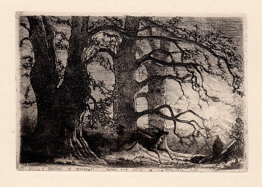 Hamerton "Chestnuts" etching: Antique etching on thick laid paper by Philip Gilbert Hamerton "Chestnuts". This is not a modern reprint but was hand pulled from the copper plate in 1873. The strike is crisp and the lines are sharp.