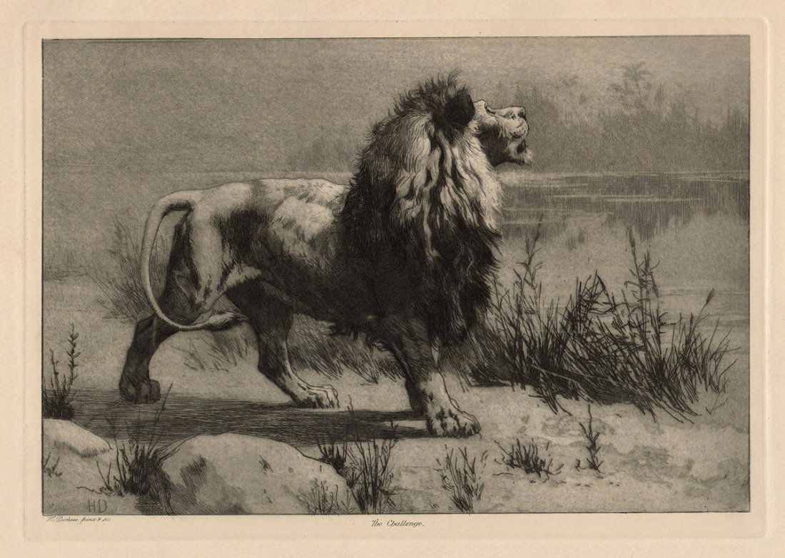 Herbert Dicksee "The Challenge" Framed: Antique etching on thick laid paper by Herbert Dicksee "The Challenge". This is not a modern reprint but was hand pulled from the copper plate in 1892. The strike is crisp and the lines are sharp. (Im