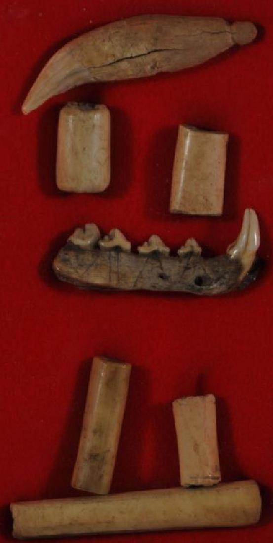 GROUP OF BONE ARTIFACTS INCLUDING 5 HIGHLY: POLISHED BONE BEADS - INCISED BEAR TOOTH, INCISED JAWBONE PROBABLY FROM A FOX OR BOBCAT. 1 BEAD HAS TWO LENGTHWISE GROOVES, 1 HAS ONE AROUND, JAWBONE HAS SEVERAL GROOVES, BEAR TOOTH HAS GROOVE AROUND 