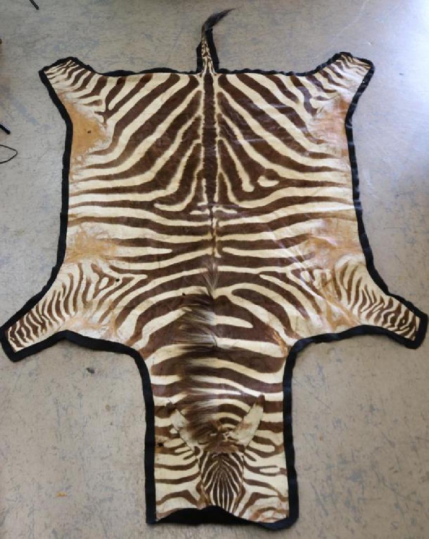 SEMI ANTIQUE ZEBRA SKIN RUG, WITH HEAD, TAIL AND: MANE, SHOWS SOME WEAR, 9' 4" L, 5' 10" W