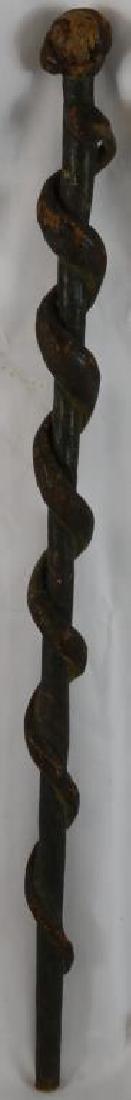 19TH C. ROOT & VINE CANE WITH SNAKE CARVED HEAD,: ORIGINAL FINISH 32"