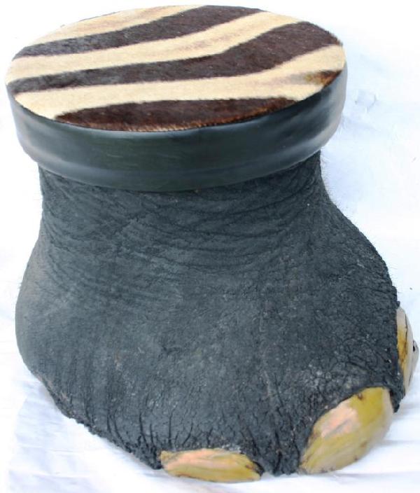 ELEPHANT FOOTSTOOL WITH ZEBRA SKIN TOP: 15" H, APPROX. 18" D X 15" W