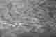 item-128105317=3