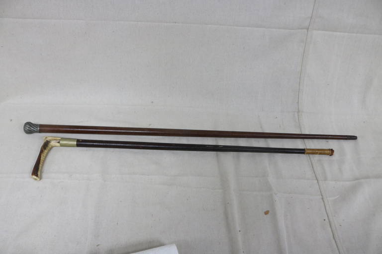 TWO WALKING STICKS (0338) on Sep 17, 2022 Turkey Creek Auctions in FL