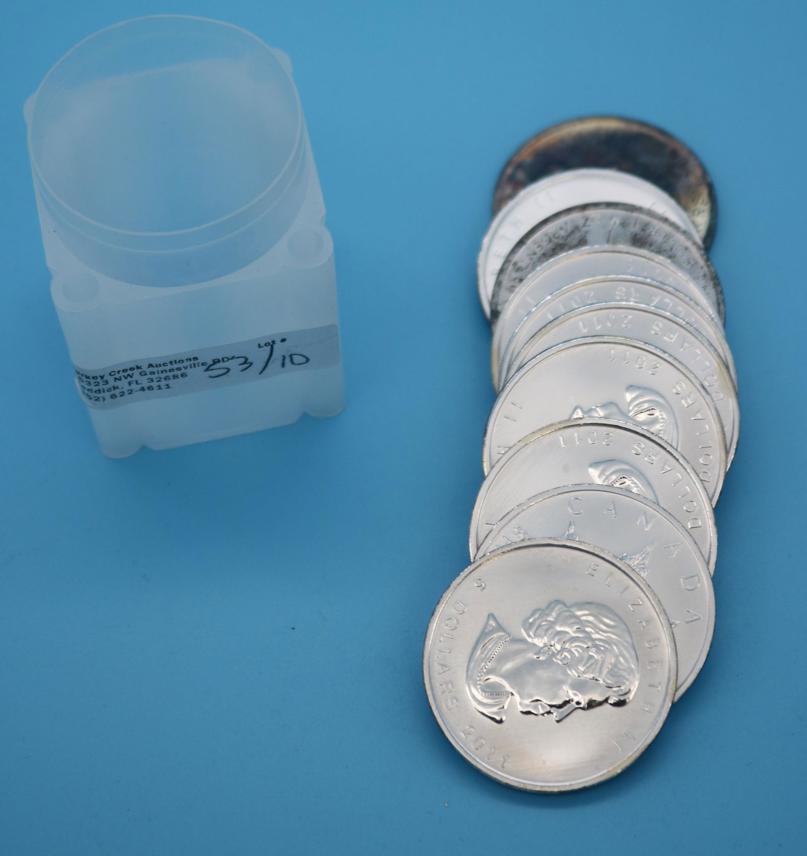 10 CANADIAN MAPLE LEAF 9999 FINE 1OZ SILVER (1 of 3)