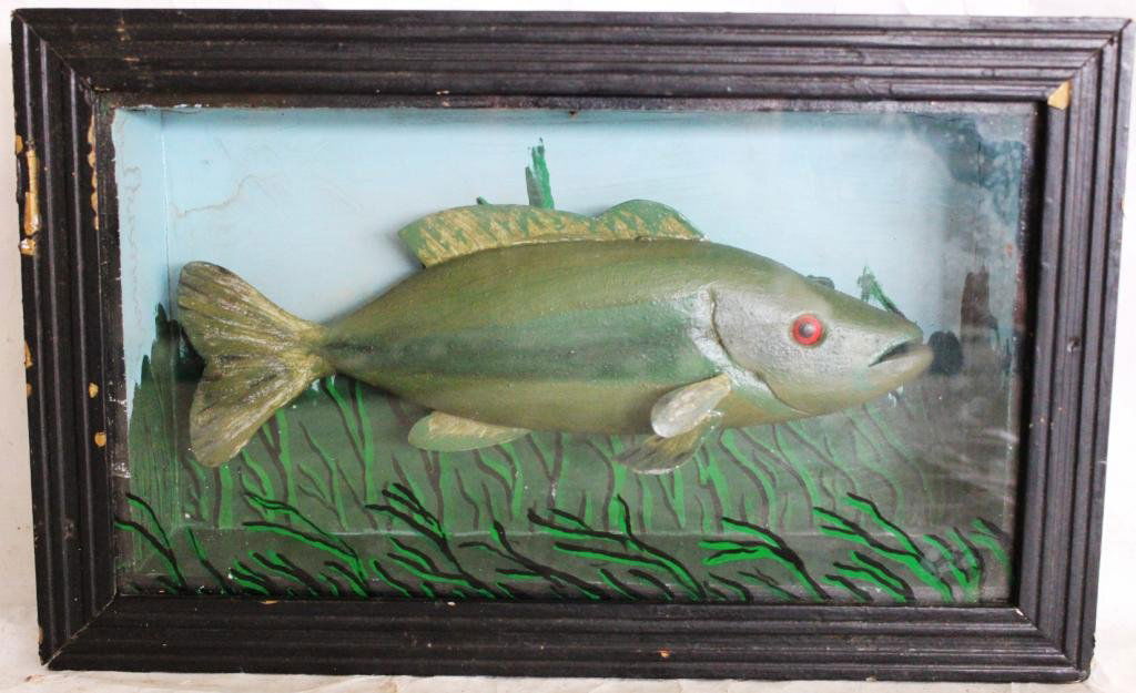 FRAMED & GLAZED FISH DECOY DIORAMA,: 9" H, 14 1/4" W, 3" D