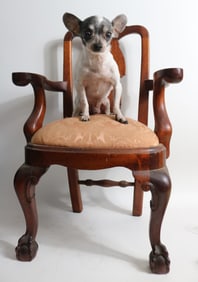 CUSTOM MAHOGANY CHILDS ARM CHAIR, SOLID MAHOGANY,