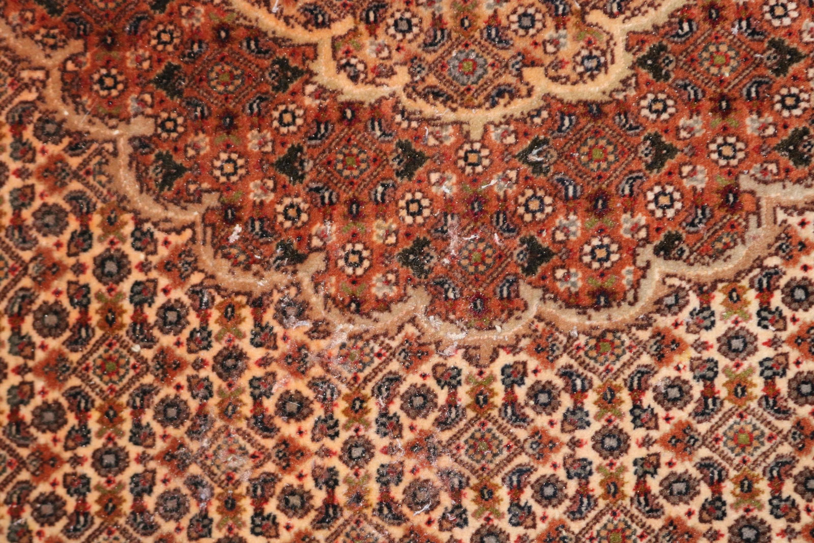 ORIENTAL AREA RUG, BIDJAR, SHOWS MOTH DAMAGE, 3' - 2