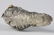 FABERGE - silver cat figurine - 3