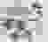 item-75274119=3