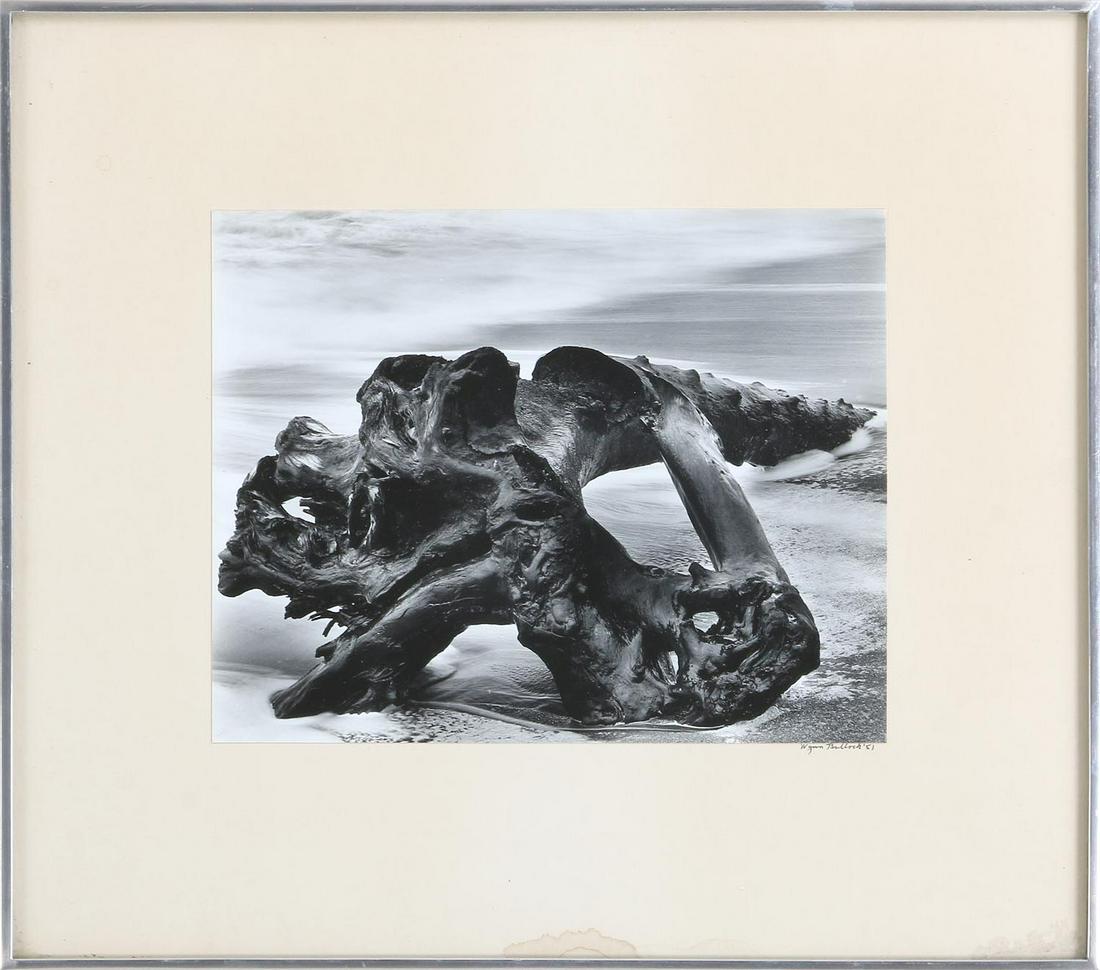 WYNN BULLOCK (American, 1902-1975) (1 of 6)