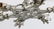 Pair of six-light star shaped ceiling fixtures - 4