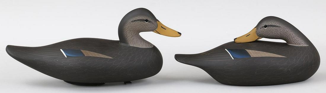 Pair of Gilmore B. Wagoner Havre de Grace: Pair of Gilmore B. Wagoner Havre de Grace, MD Black Ducks. One has upright head and the other is a sleeper. Both are signed and the cast lead belly weight bears carver's name.
