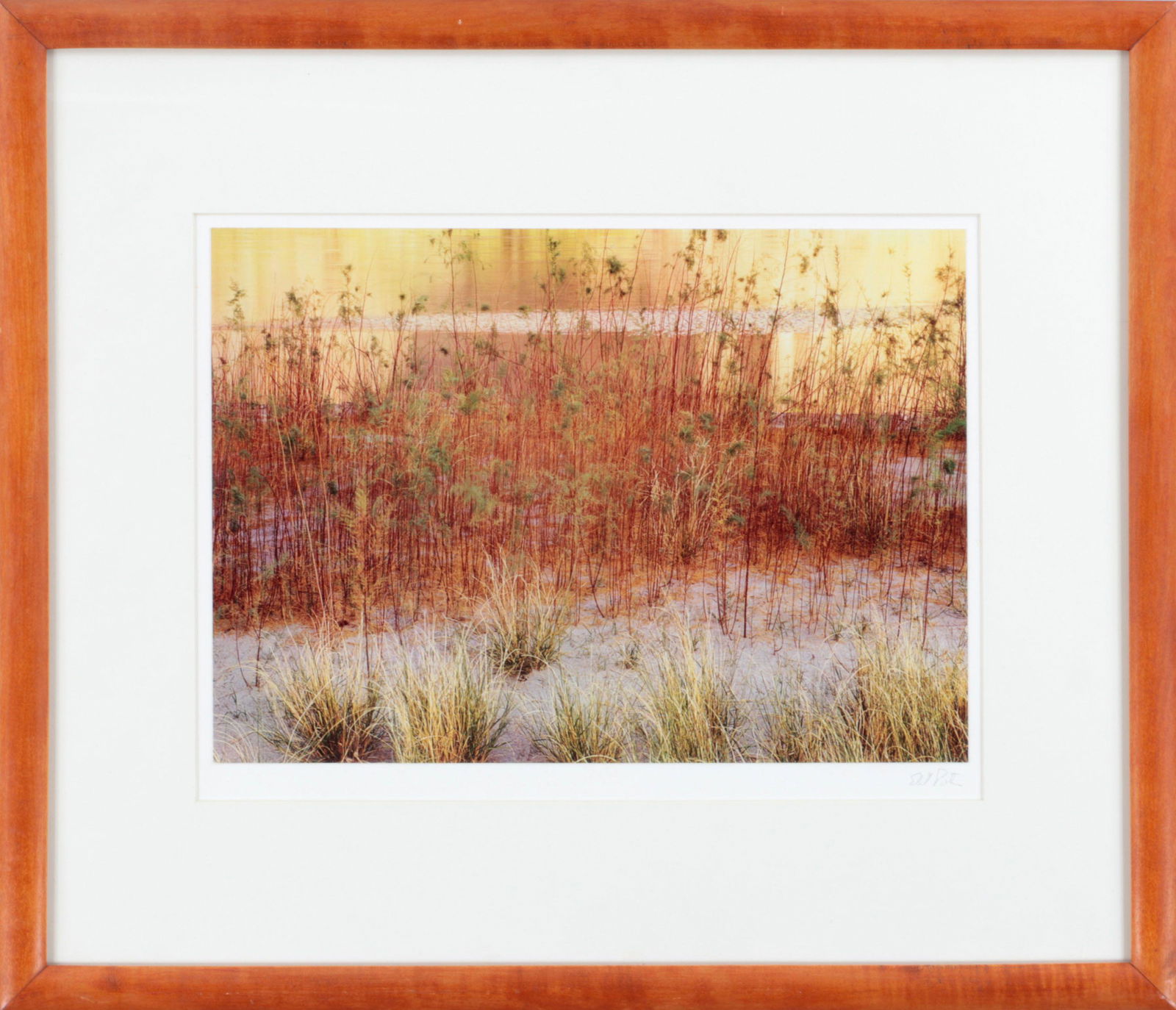 ELIOT PORTER (American, 1901-1990): ELIOT PORTER (American, 1901-1990), ''Tamarisk and Grass, River's Edge, Glen Canyon, Utah'', 1961, printed later, dye transfer print, pencil signed lower right mount. Glue mounted, trimmed, light foxi