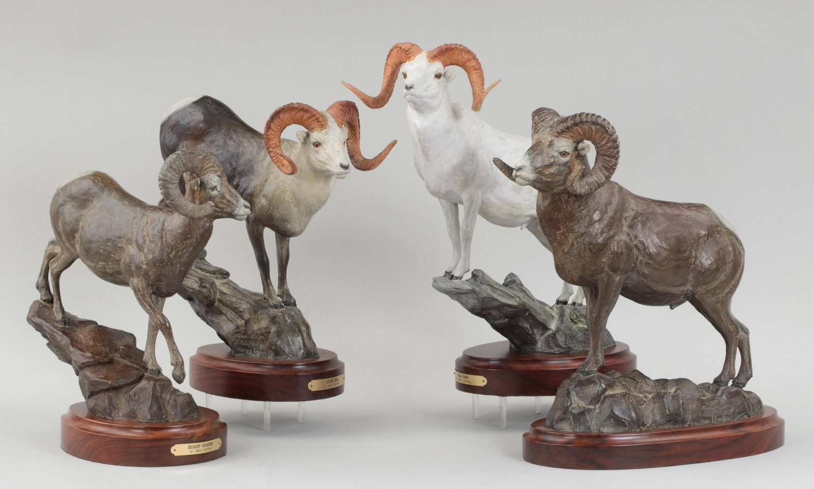 JAMES STAFFORD (American, b. 1937): JAMES STAFFORD (American, b. 1937), North American sheep slam, set of (4) cold-painted bronze rams, to include: Desert Bighorn; Dall Ram, (minor oxidation); Stone Ram; and Rocky Mountain Bighorn. Each
