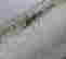 item-124642048=6
