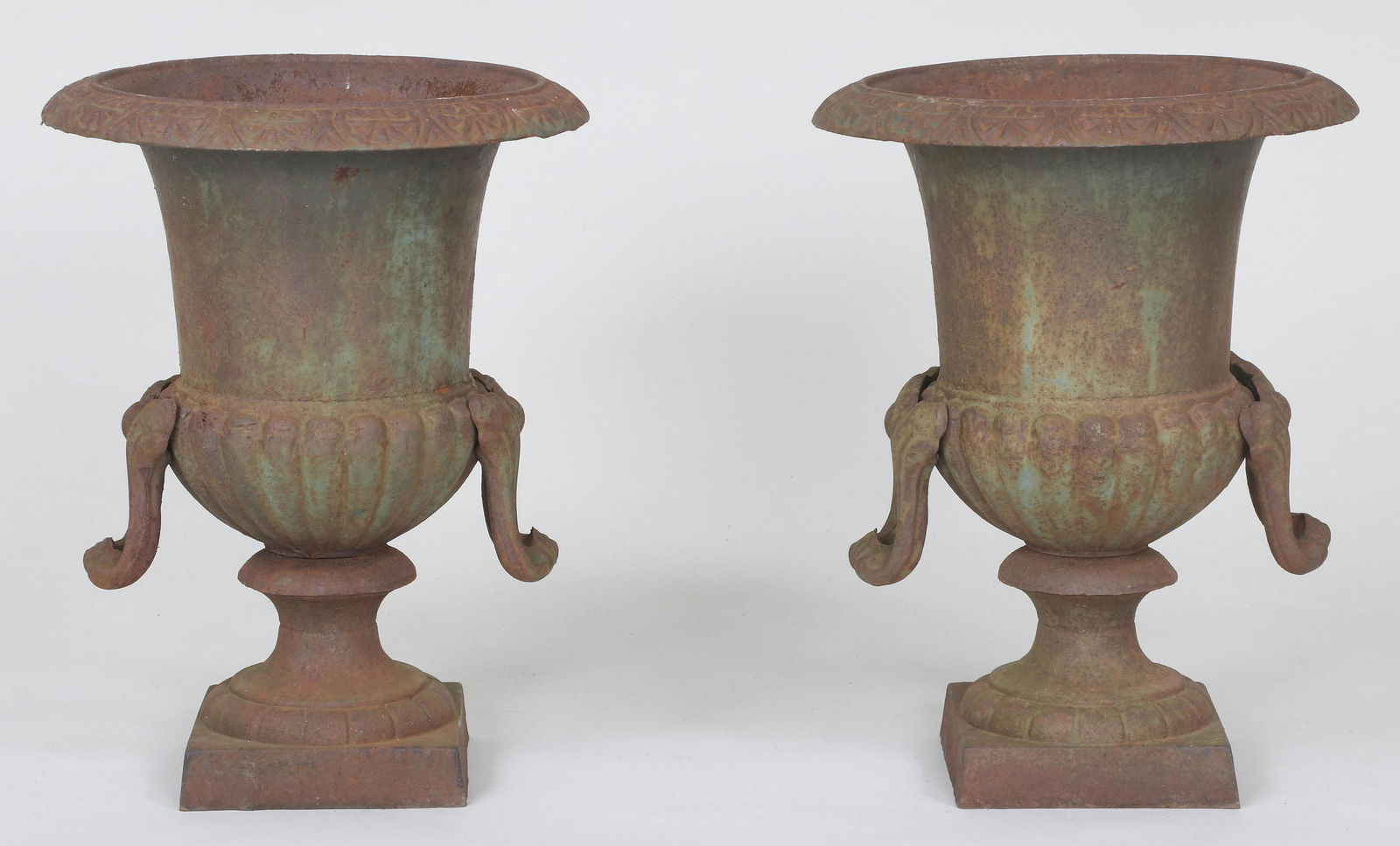 Pair of small cast iron campana urns (1 of 5)