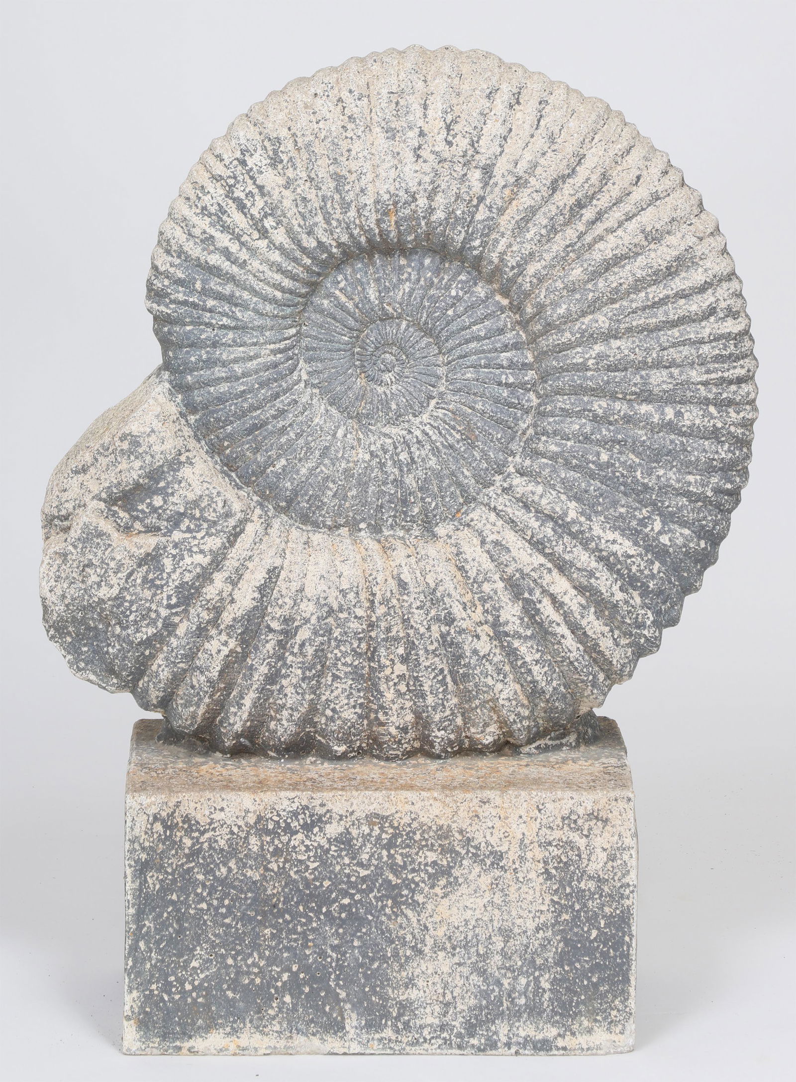 Cast stone ammonite sculpture (1 of 3)
