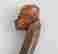 item-131381942=5