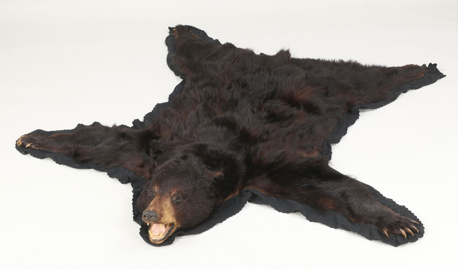 Black bear rug: Black bear rug with felt liner. Missing claws to back paw, some holes and tears to felt. 64''w, 65''l.