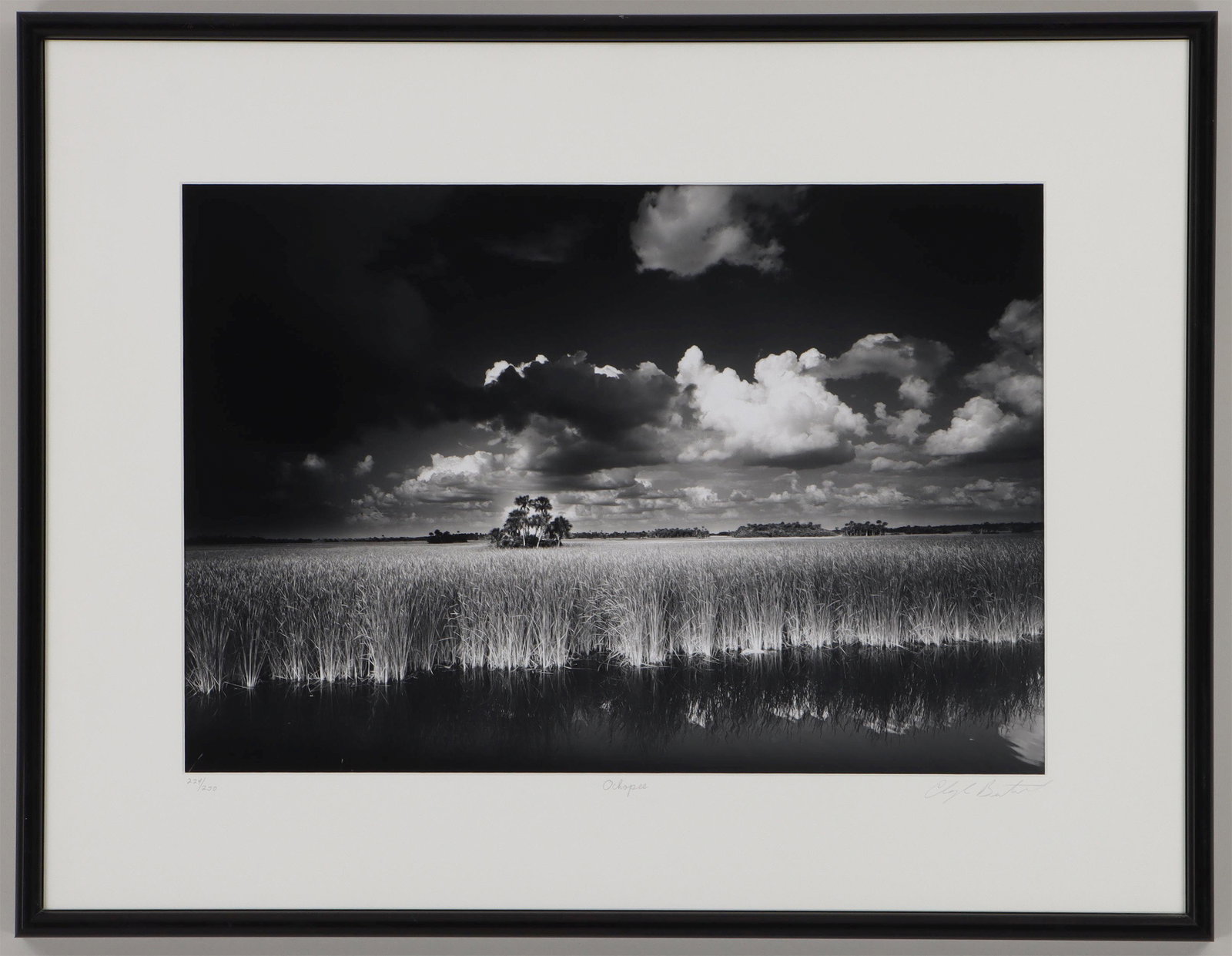 CLYDE BUTCHER: CLYDE BUTCHER (American, b. 1942), ''Ochopee'' (Western Everglades), 1986, gelatin silver print, 224/255, pencil signed, titled, and numbered on mat. Artist's label adhered to frame verso. Framed unde