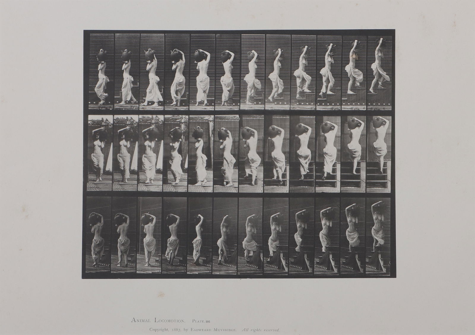 EADWEARD MUYBRIDGE (British/American, 1830-1904): EADWEARD MUYBRIDGE (British/American, 1830-1904), Animal Locomotion, Plate 105 (nude woman carrying water), 1887, collotype on two-toned wove paper, with Muybridge's letterpress credit, series title,