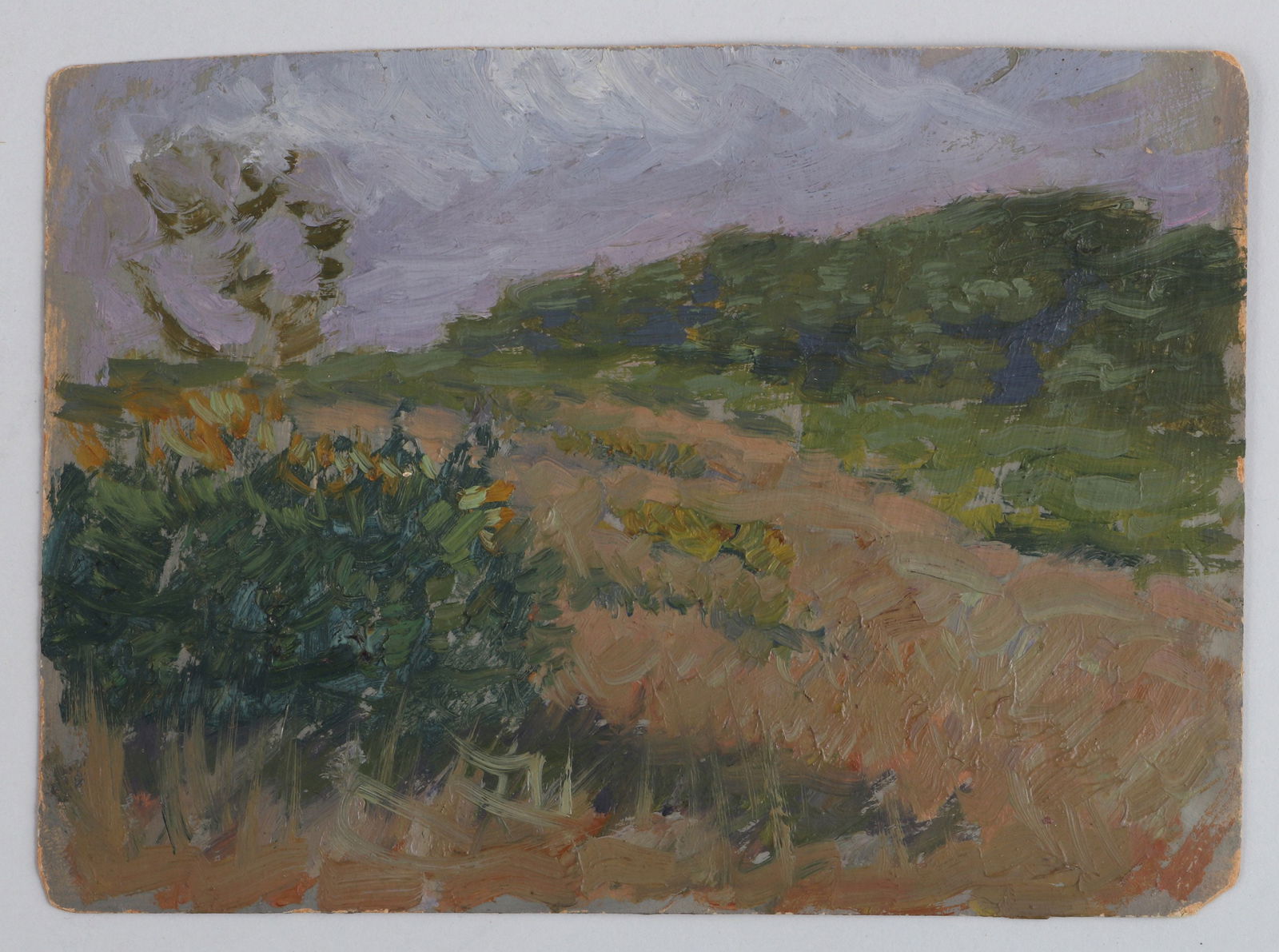 WHITNEY MYRON HUBBARD (Long Island, 1875-1965): WHITNEY MYRON HUBBARD (American, Long Island, 1875-1965), small summer landscape, oil on cardboard, unsigned. Wear to edges, dirt and grime. Board 5''h, 6-3/4''w. Provenance: The artist; to current ow