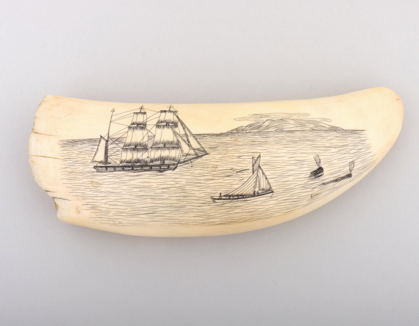 19th Century Scrimshaw Whale Tooth: 19th Century Scrimshaw Whale Tooth depicting three masted ship, chase boat, and two whales, with island on the horizon. 6" long (15.2 cm.) Provenance: Property of a South Shore, Long Island collector.