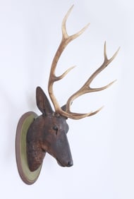 Folk Art Carved and Painted Stag Head with Antlers
