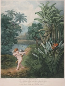 "Cupid Inspiring Plants with Love", Dr. Robert John Thornton after Reinagle