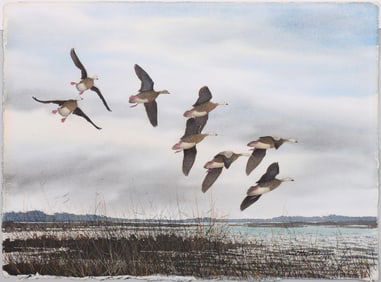 David Hagerbaumer (American 1921-2014), Flying Brandt, 1962, watercolor and gouache on paper