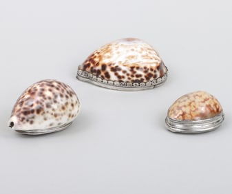 Group of (3) silver mounted cowrie shell boxes, 18th century.