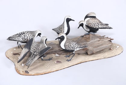 "A Gathering of Piping Plover", 1974