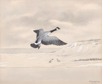 P. C. Wharton (American 1880-Unknown), Canada Goose, 1920, watercolor and gouache on paper