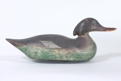 Mason Challenge Grade Merganser Hen