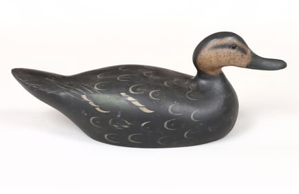 Mason Special-Order Oversized Blackduck