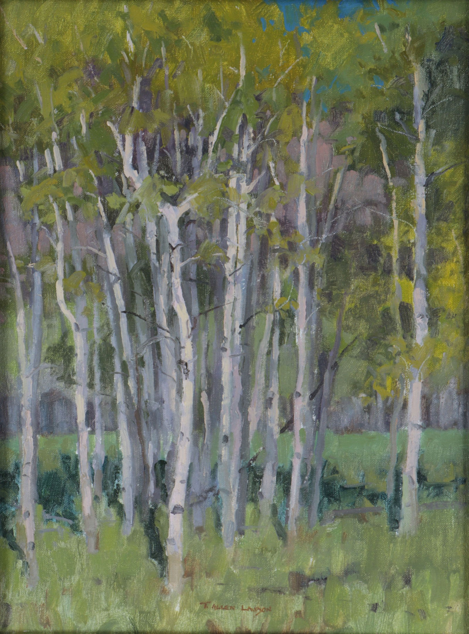 Tim Allen Lawson (American, b. 1963) (1 of 8)