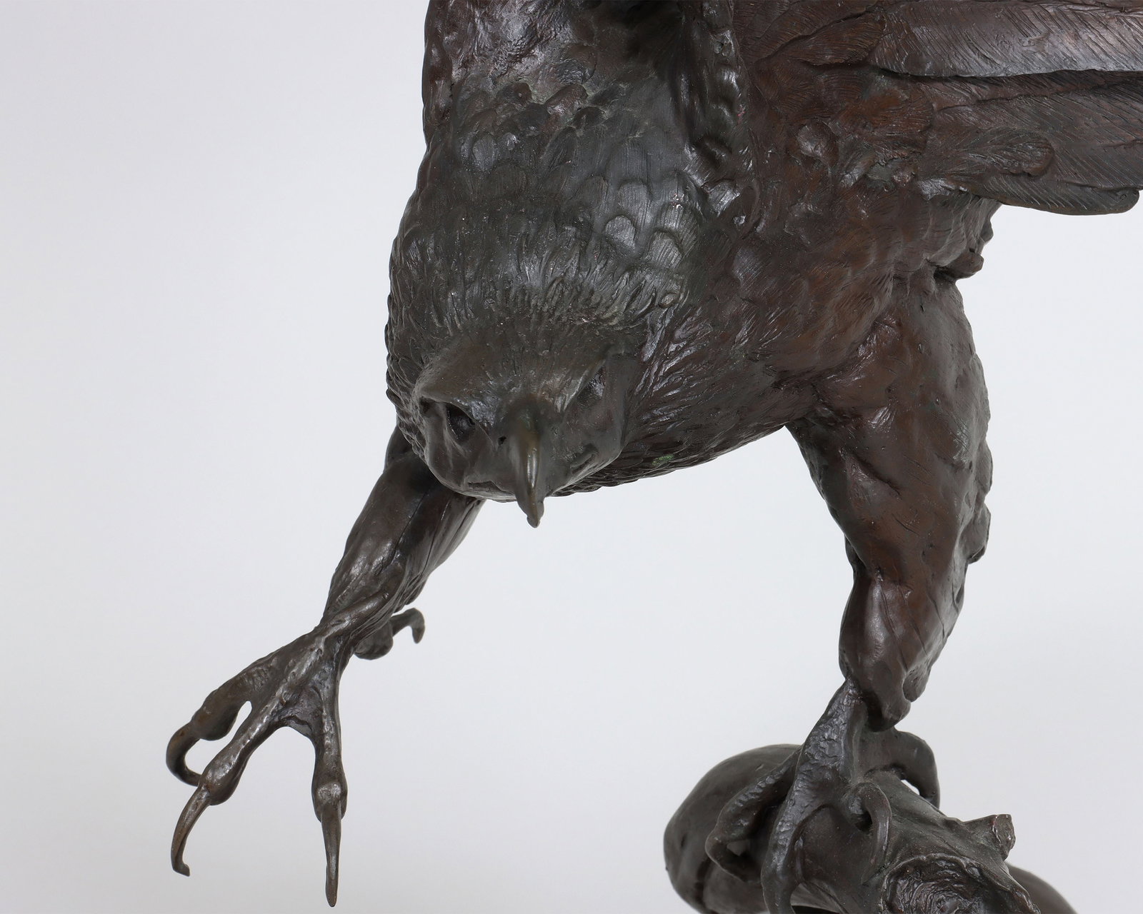 Eagle - 11
