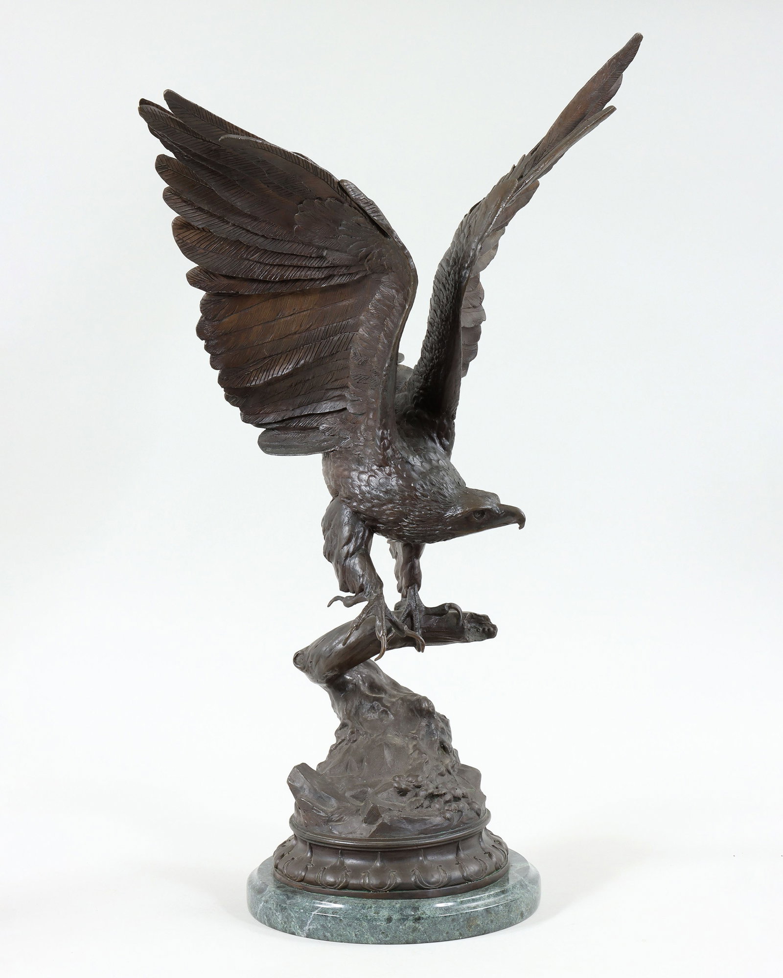 Eagle (1 of 14)