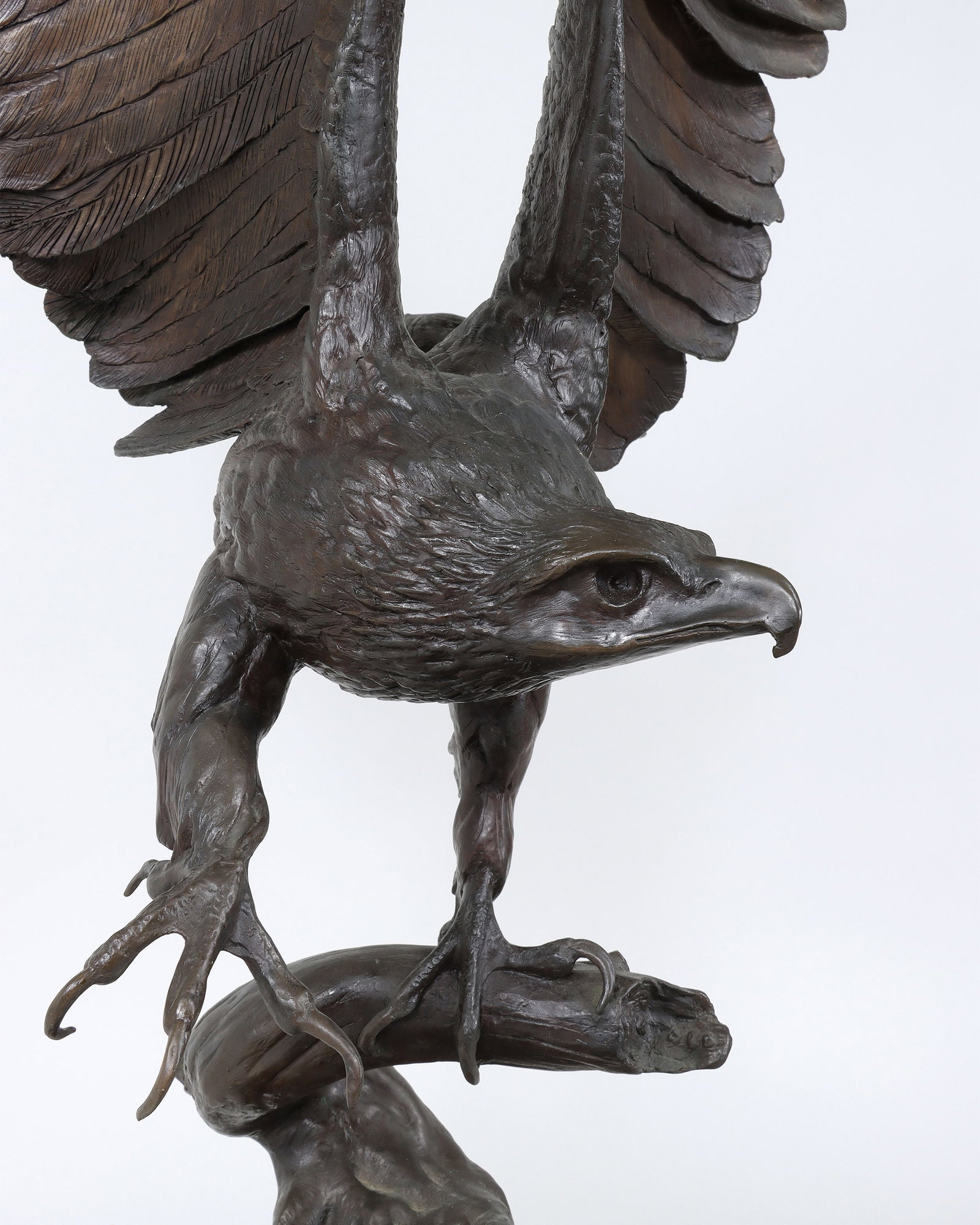 Eagle - 2