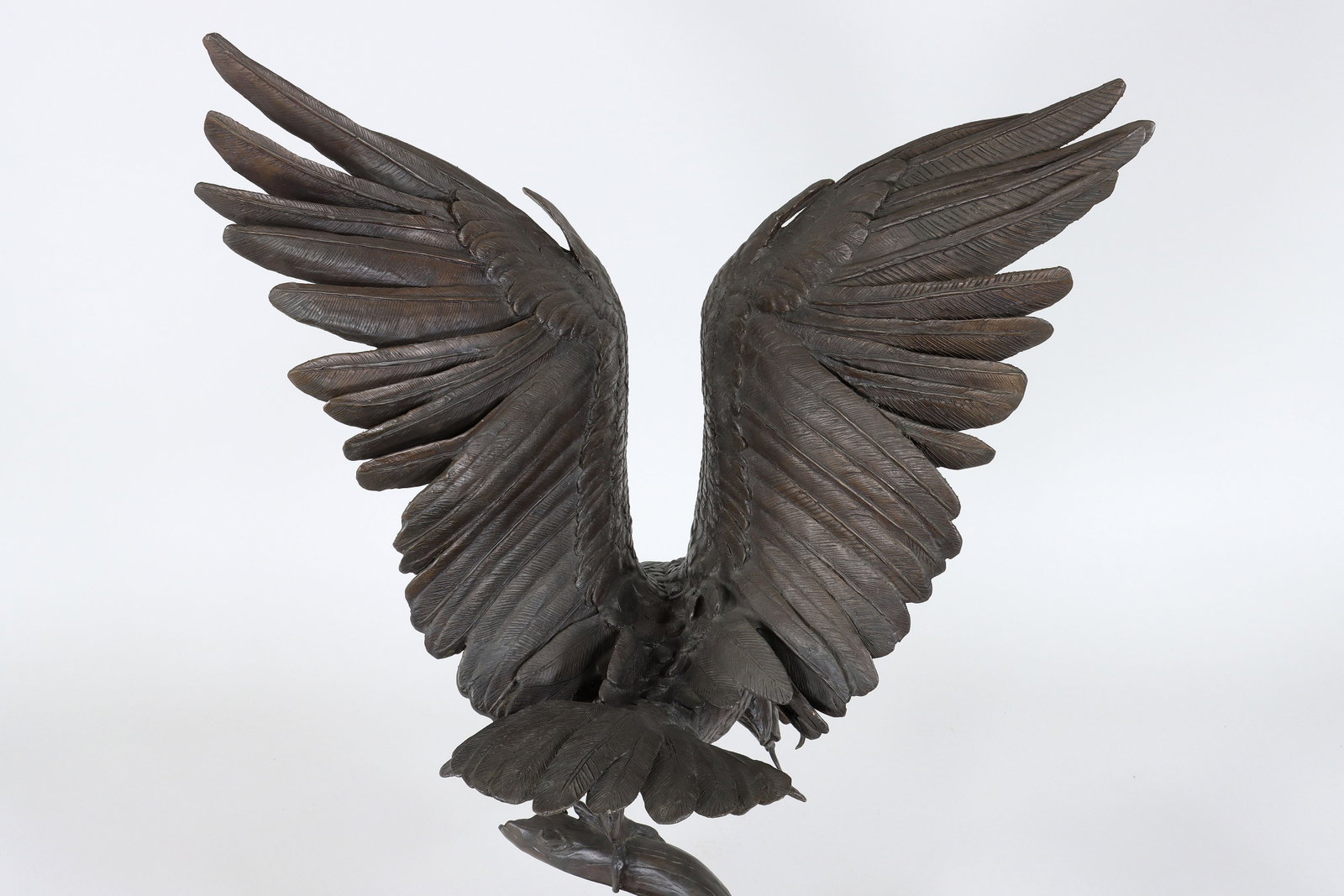 Eagle - 6