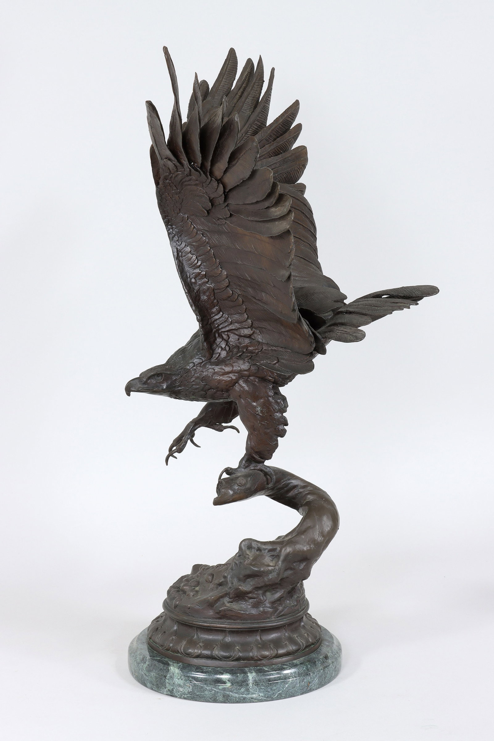 Eagle - 8