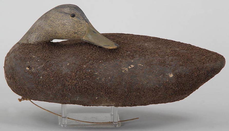 Long Island Blackduck With Head Attributed To Gene