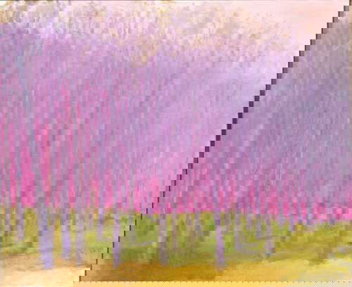 Wolf Kahn Lithograph Pencil Signed & Numbered: ARTIST: Wolf Kahn TITLE: Aura MEDIUM: 40-color screen print