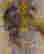 item-191495=2