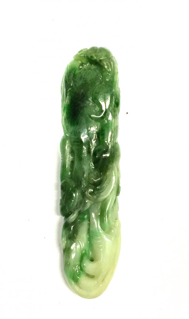 Chinese jade lizards (1 of 1)