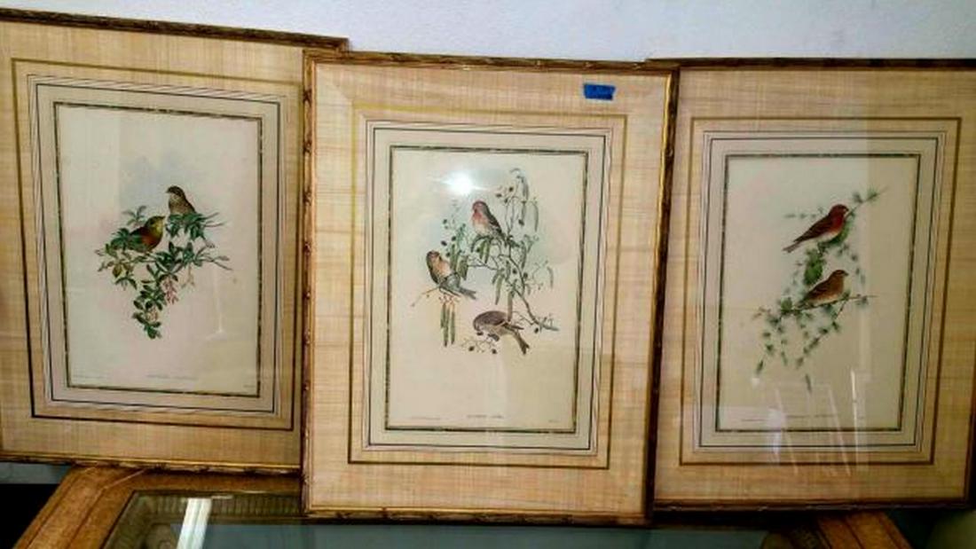 3 Hand Colored Avian Framed Lithographs by J. Gould & H (1 of 7)