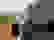 item-66904211=5